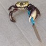 crabshank