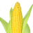 NotCorn